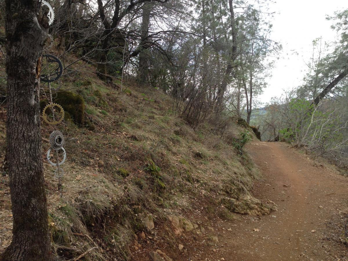 A dirt path winding through a forested area, flanked by trees and underbrush. Hanging from a tree trunk are several bicycle gears, artistically arranged, adding a unique decorative element to the natural surroundings. The scene is set under overcast skies, suggesting a calm and serene atmosphere. Clementine / Forresthill Connector Trail mountain bike trail.