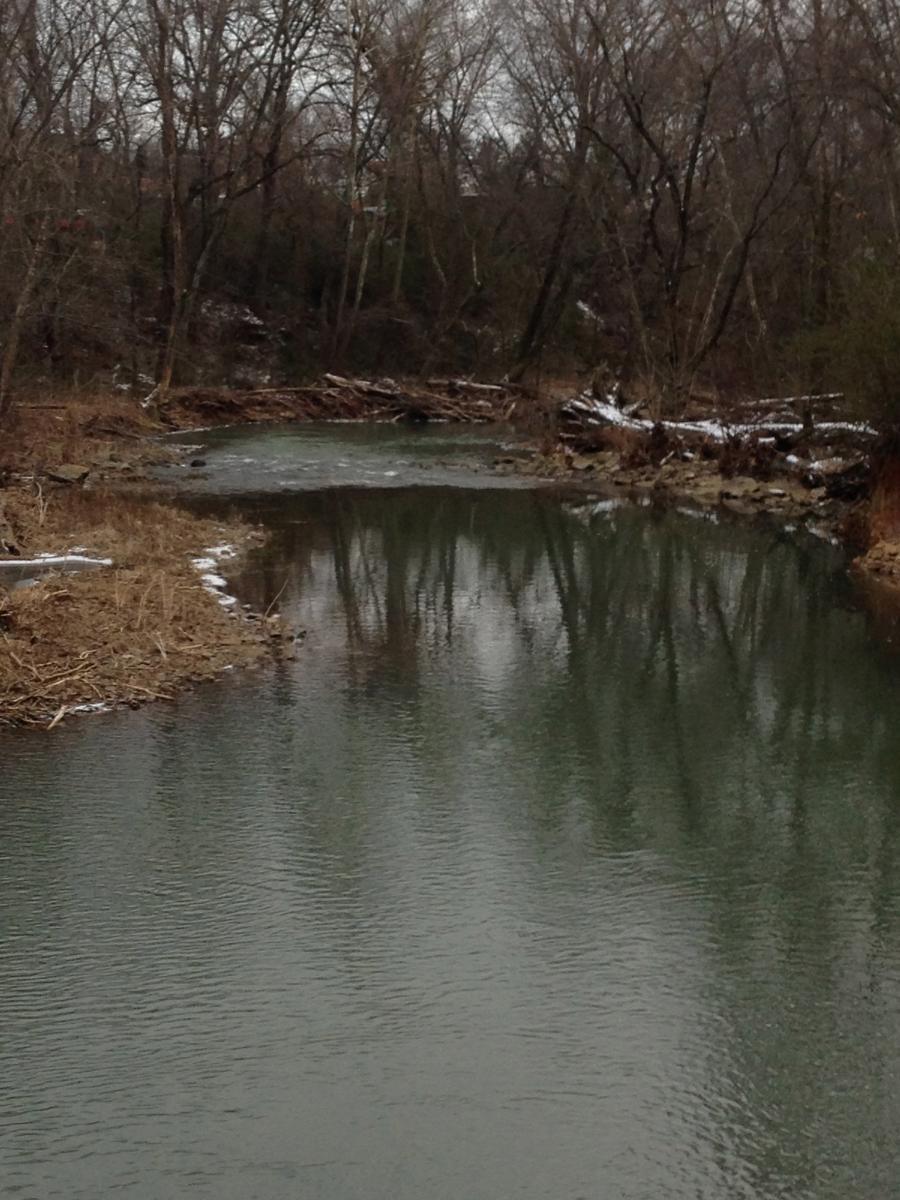 A serene river scene featuring calm, reflective water surrounded by bare trees and sparse vegetation. The shoreline is lined with fallen logs and scattered brush, with hints of snow visible in some areas. The sky is overcast, contributing to the tranquil and muted tones of the landscape. Spadra Creek Nature Trail mountain bike trail.