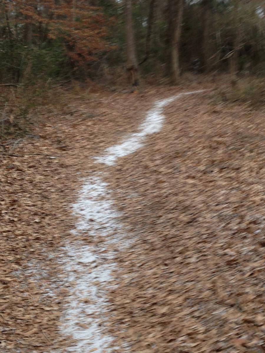 A winding trail covered in fallen leaves, with a faint white line marking the path through a wooded area. The scene is slightly blurred, giving a sense of depth and movement. Spadra Creek Nature Trail mountain bike trail.