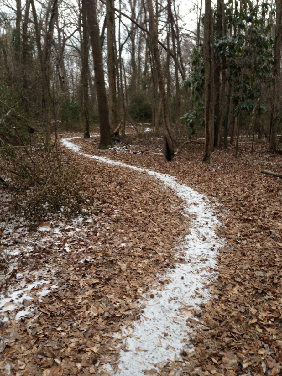 A meandering dirt path covered with fallen leaves and a light dusting of snow, surrounded by bare trees, creating a serene winter forest scene. Spadra Creek Nature Trail mountain bike trail.