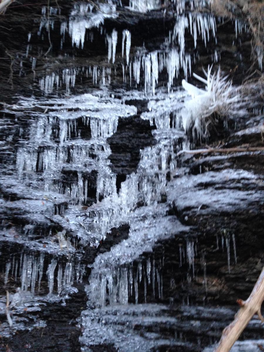A close-up view of a rocky surface adorned with icicles of various lengths, surrounded by frozen water formations. The scene captures the intricate texture of the ice against the dark rock backdrop, illustrating the beauty of winter's effects on nature. Spadra Creek Nature Trail mountain bike trail.