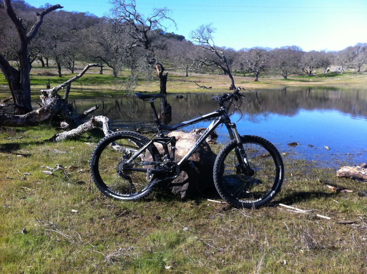 Trek Fuel EX 8: A mountain bike resting on a log by a serene pond, surrounded by grassy terrain and sparse trees. The scene captures a calm, natural setting with clear blue skies reflecting in the water.