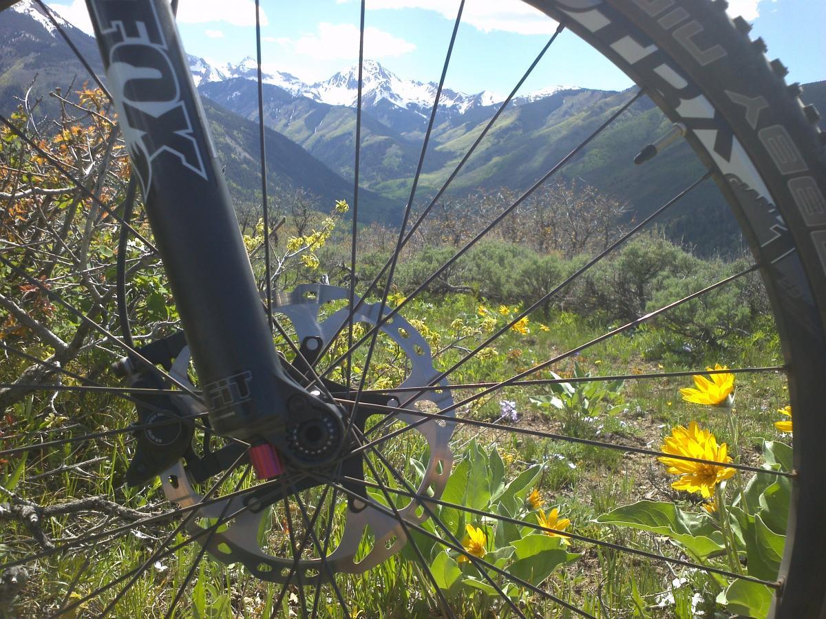 Giant Trance X 29er: A close-up view of a mountain bike wheel, featuring the disc brake and fork, with vibrant wildflowers in the foreground. In the background, a landscape of lush green hills and snow-capped mountains under a clear blue sky.