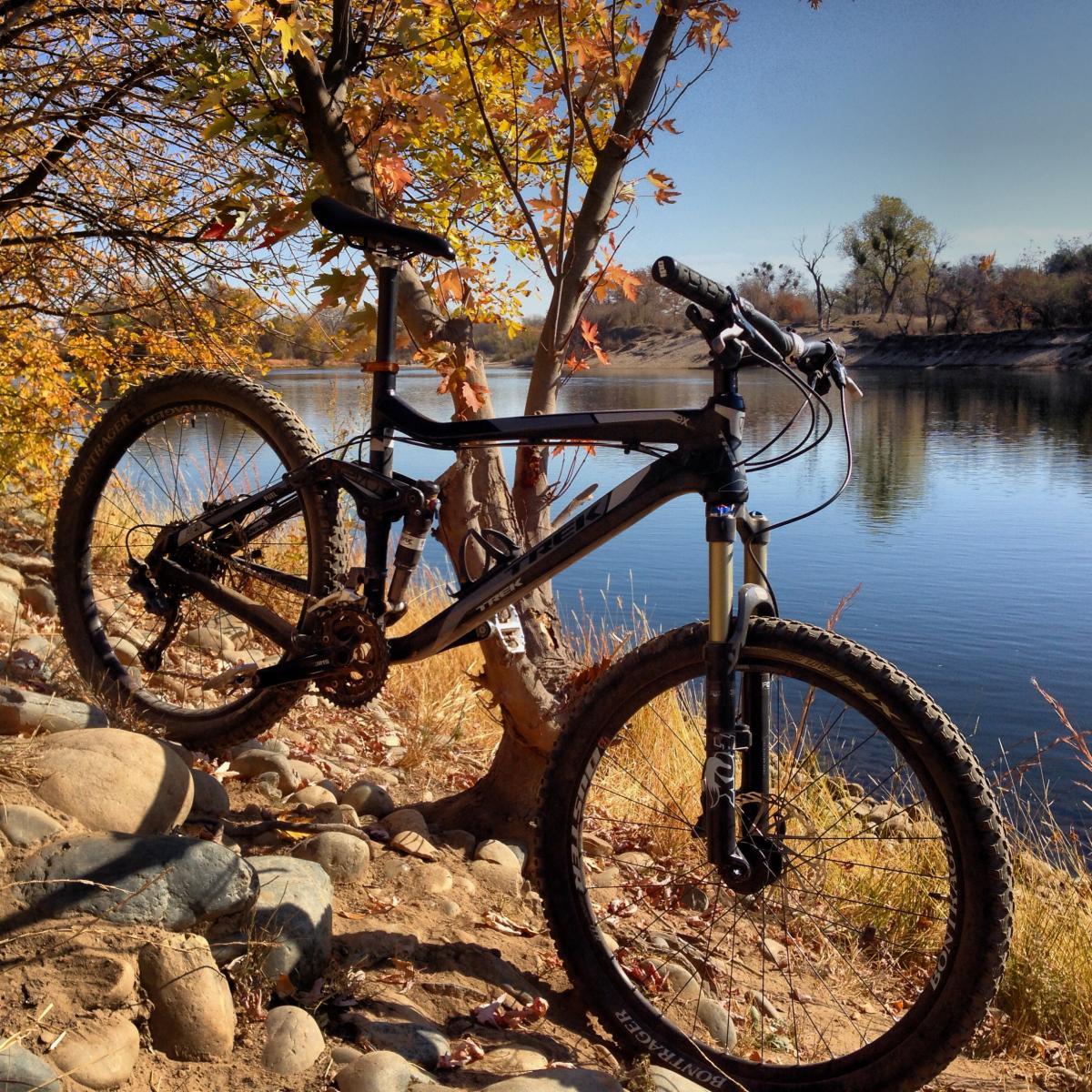 Trek Fuel EX 8: A mountain bike leaning against a tree beside a calm river, surrounded by autumn foliage with yellow and orange leaves. The scene features rocky terrain and a clear blue sky in the background.