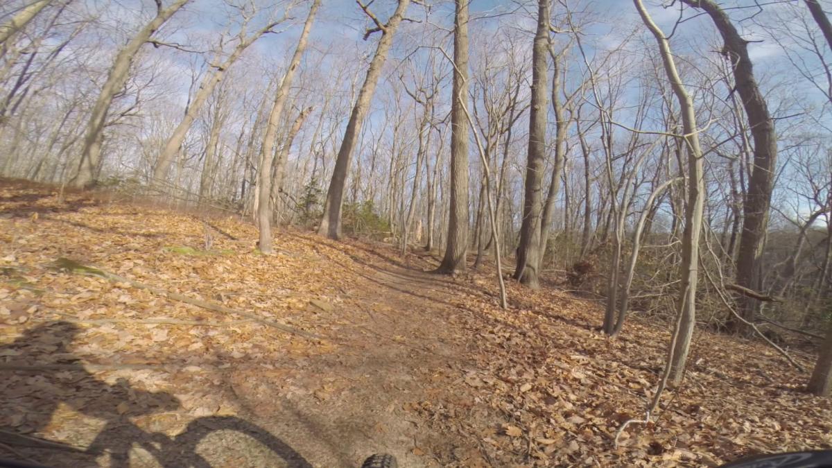 A winding dirt path through a forest of bare trees, with fallen leaves covering the ground under a clear sky. Hartshorne Woods Park mountain bike trail.