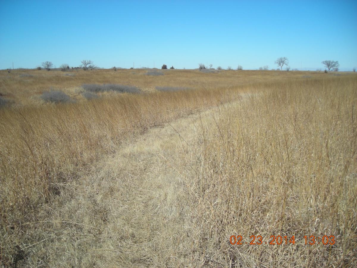 A wide view of an open grassy field under a clear blue sky. The landscape features tall, golden grasses and sparse patches of dried vegetation, indicating a dry climate. A faint dirt path winds through the grass, leading into the distance, with a few bare trees visible on the horizon. The image captures the serene and expansive nature of the prairie environment. Fall River State Park mountain bike trail.