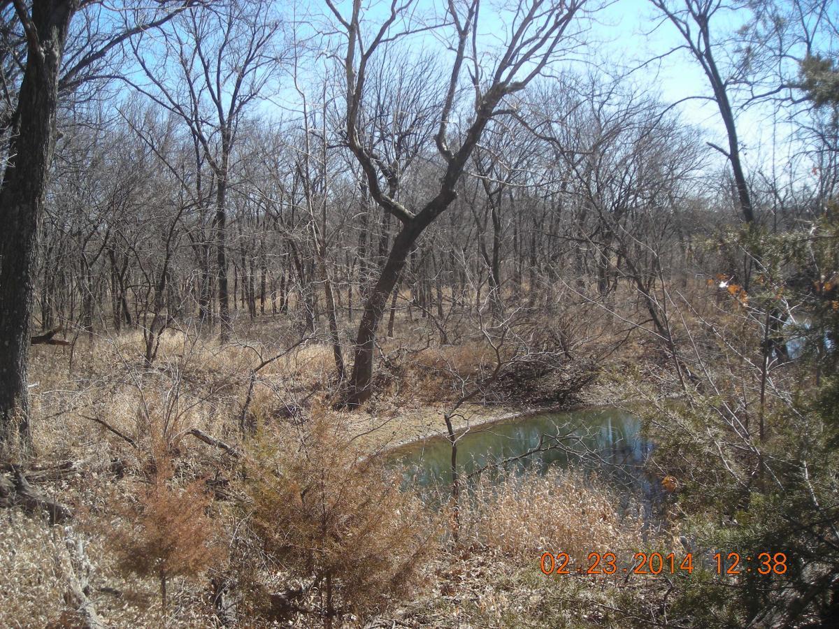 A serene landscape featuring a small, winding stream surrounded by bare trees and dry grasses under a clear blue sky. The scene captures a tranquil moment in nature, highlighting the beauty of a winter environment. Fall River State Park mountain bike trail.