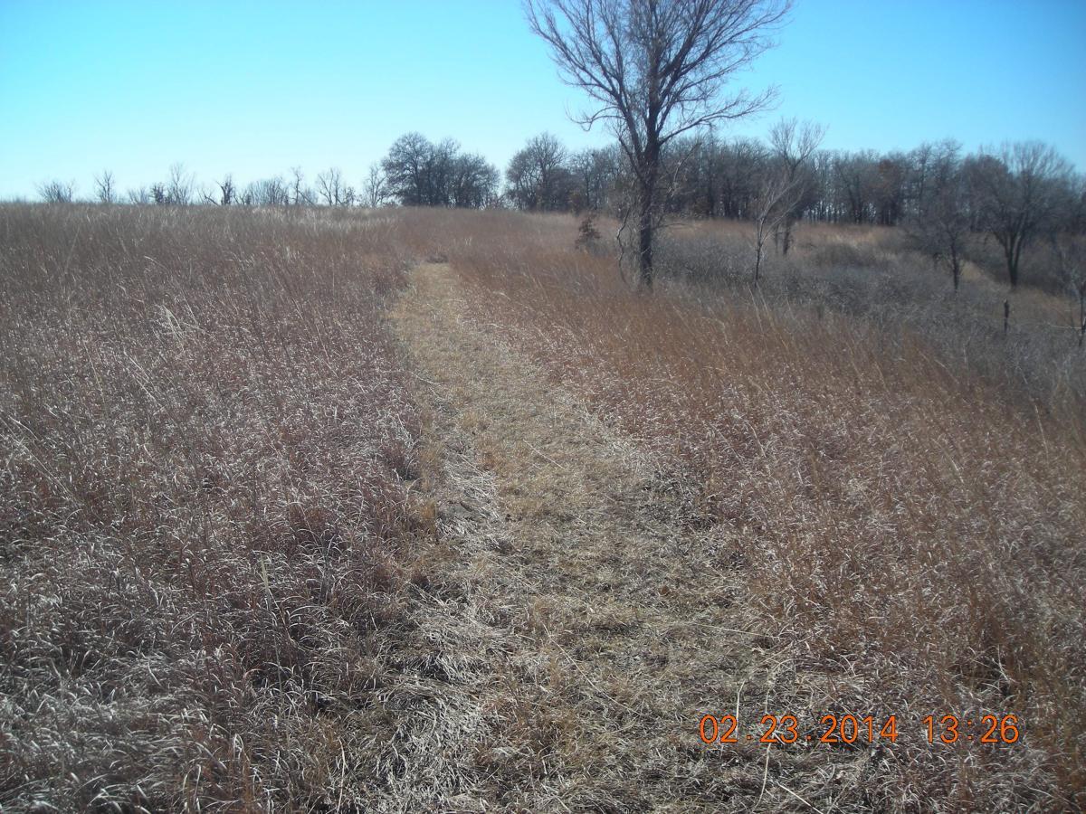 A scenic view of a grassy pathway winding through a field, with sparse trees in the background under a clear blue sky. The grass is dry and golden, indicating a sunny and dry environment. Fall River State Park mountain bike trail.
