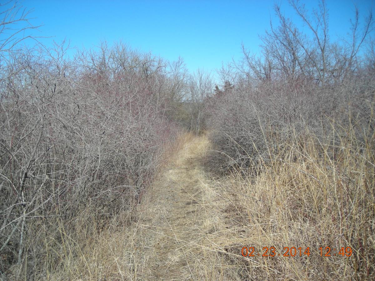 A narrow dirt path surrounded by bare trees and dry grass under a clear blue sky. The scene depicts a peaceful, natural setting, suggesting a quiet outdoor area suitable for walking or exploring. Fall River State Park mountain bike trail.