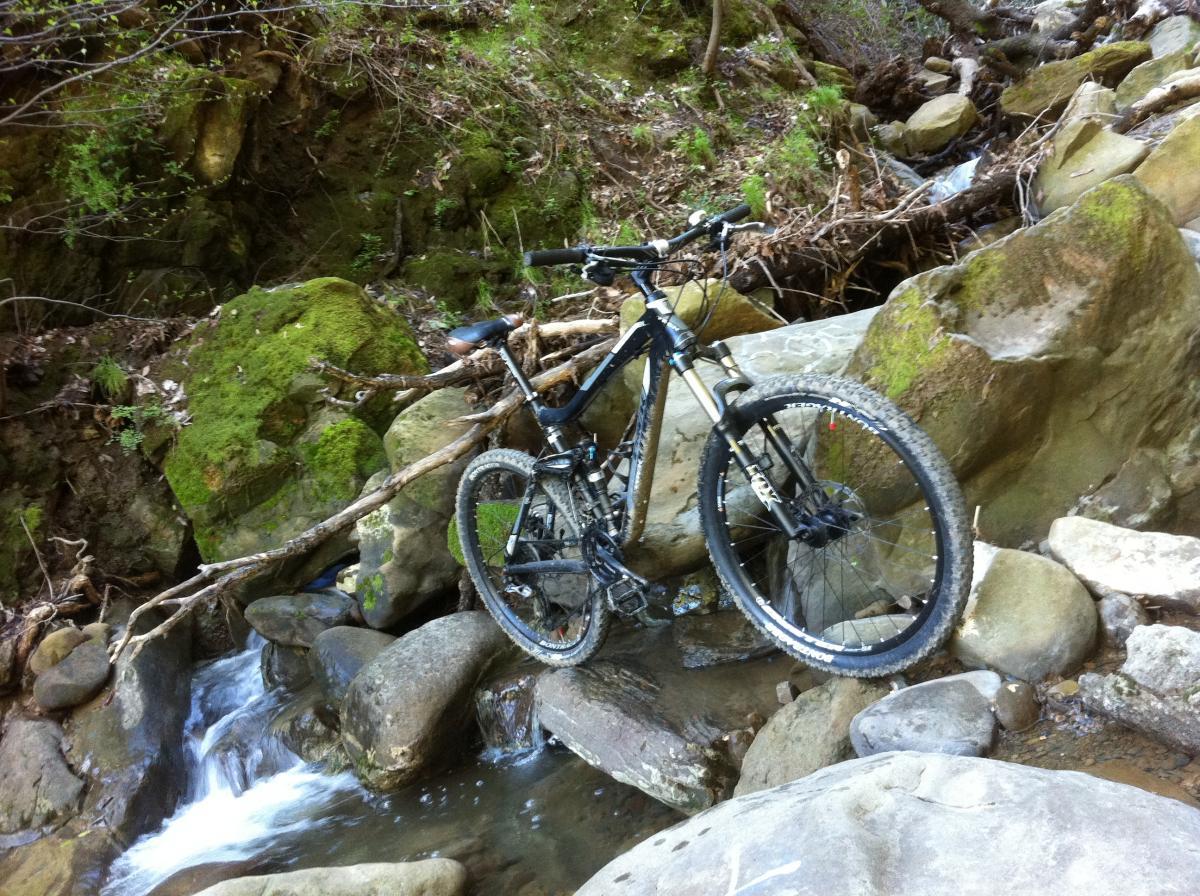 Trek Fuel EX 8: A mountain bike resting on large rocks beside a flowing stream in a wooded area. The bike is positioned near moss-covered stones and fallen branches, surrounded by greenery and natural debris.