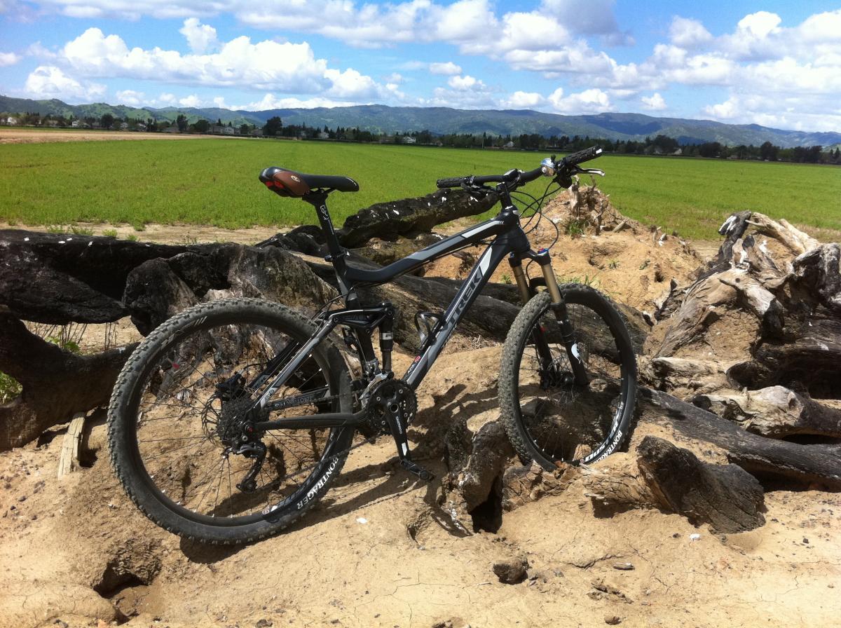 Trek Fuel EX 8: A mountain bike rests on a sandy patch surrounded by tree roots and stumps, with a lush green field and mountains in the background under a partly cloudy sky.