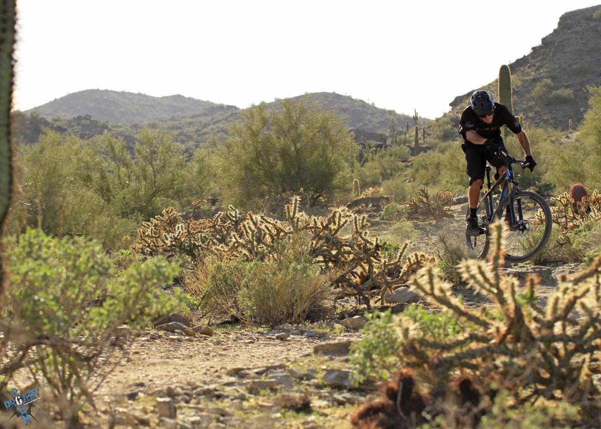 A mountain biker performs a jump on a trail in a desert landscape, surrounded by cacti and shrubs, with rolling hills in the background under a bright sky. Desert Classic mountain bike trail.