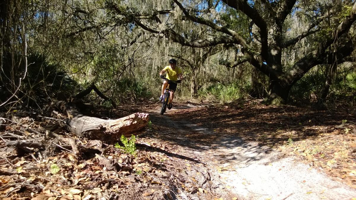 A person wearing a yellow shirt and dark shorts rides a bicycle along a dirt trail through a wooded area, surrounded by lush greenery and fallen leaves. Sunlight filters through the trees, casting dappled shadows on the ground.