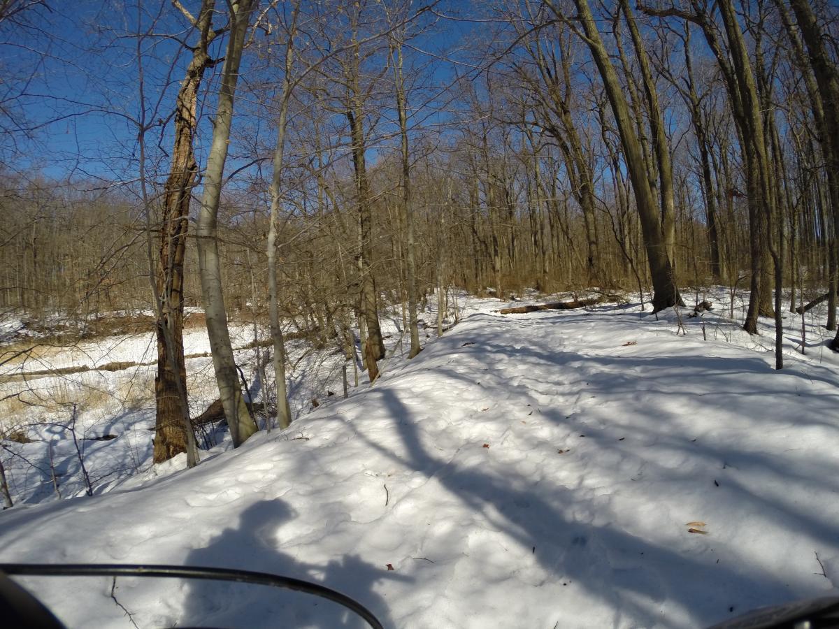 Snow-covered forest path with bare trees under a clear blue sky, showcasing shadows cast by the trees and a nearby stream or dry grass area. Wolfes Pond park mountain bike trail.