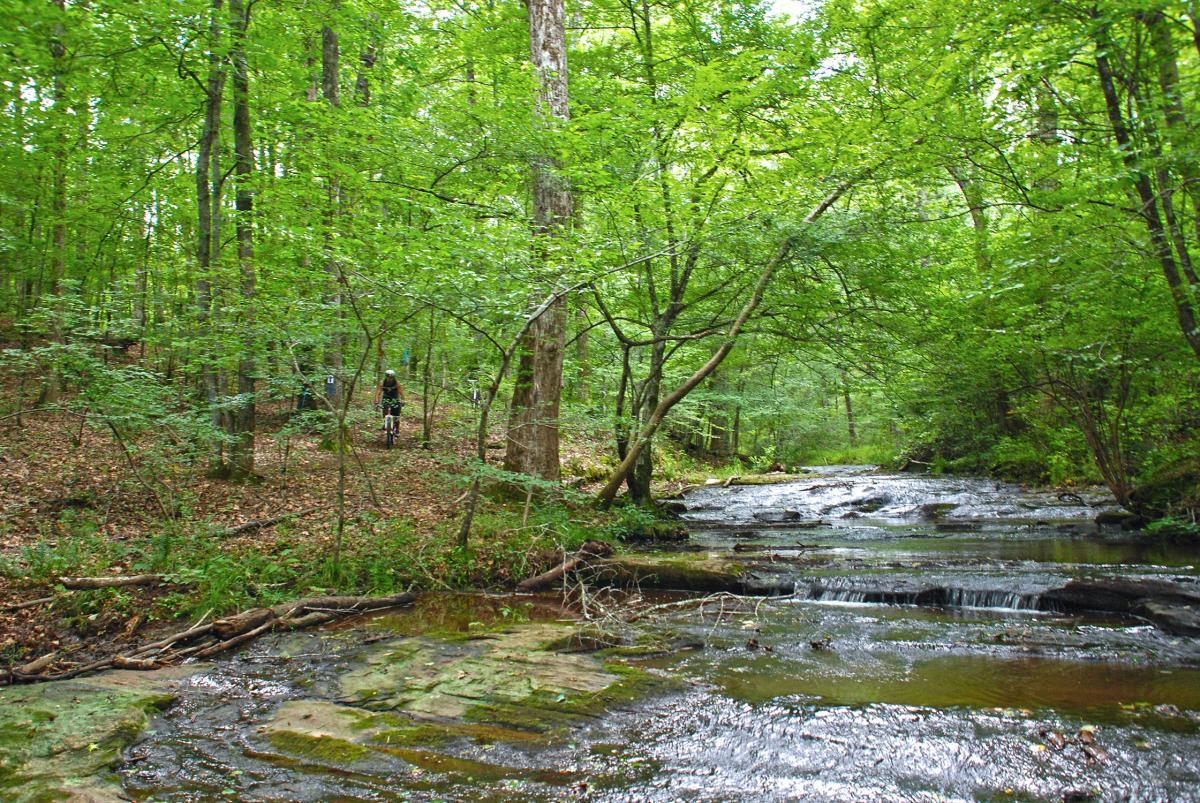 A lush green forest scene featuring tall trees and a gently flowing stream. In the background, a person is biking along a trail beside the water, surrounded by rich vegetation and sunlight filtering through the leaves. Hard Labor Creek State Park mountain bike trail.