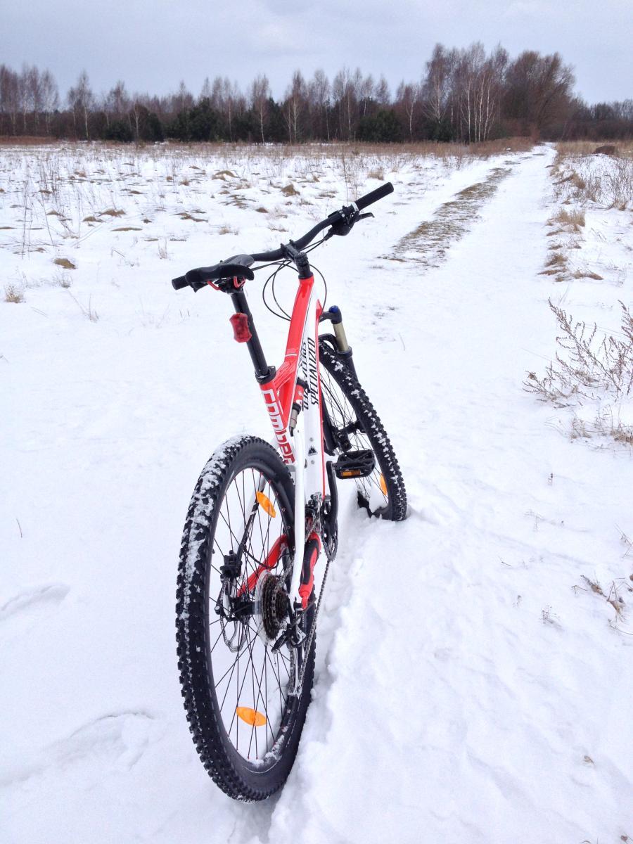 Specialized Camber 29: A mountain bike stands stationary on a snowy trail, surrounded by a sparse winter landscape. In the background, a mix of bare trees and evergreen shrubs can be seen, while low vegetation peeks through the snow. The sky is overcast, suggesting a cold, wintry day.