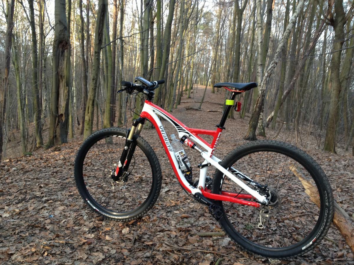 Specialized Camber 29: A mountain bike positioned on a forest trail covered with leaves, surrounded by tall trees. The bike features a red and white frame, with visible suspension and dark tires. Sunlight filters through the trees, creating a serene outdoor atmosphere.