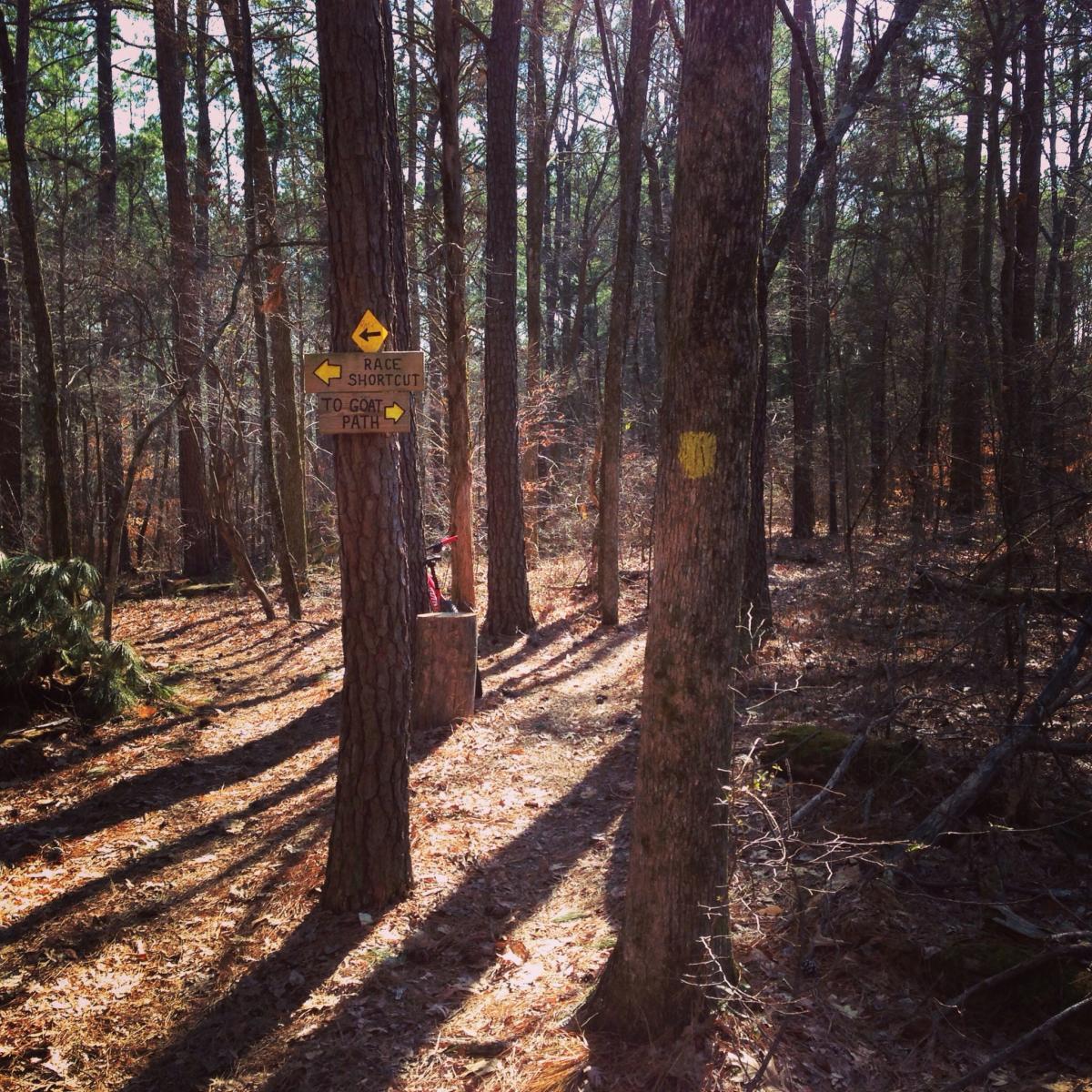 A wooded area with tall trees and dappled sunlight filtering through the branches. A wooden signpost stands between two trees, with arrows indicating directions for "Race Shortcut" to the left and "To Goat Path" to the right. The forest floor is covered in fallen leaves and twigs, casting long shadows. Montgomery Bell State Park Mtb Trail mountain bike trail.