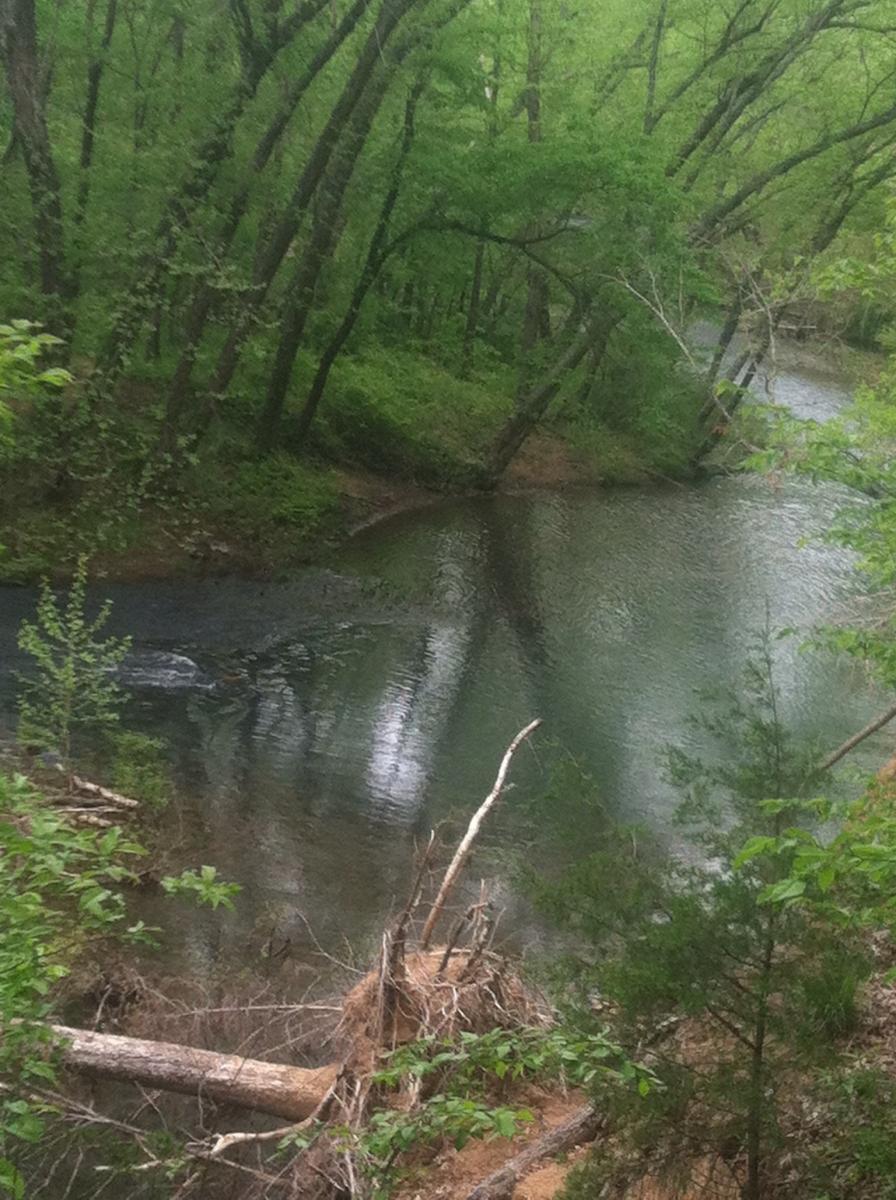 A serene natural scene featuring a winding river surrounded by lush green trees and foliage. The water reflects the greenery, creating a tranquil atmosphere. Fallen branches and roots are noticeable along the riverbank, adding to the natural landscape. Spadra Creek Nature Trail mountain bike trail.