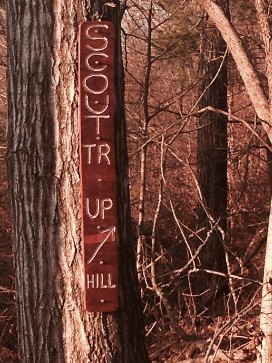 Wooden sign attached to a tree, reading "SCOUT TR UP HILL" with an arrow pointing upward, surrounded by bare branches and a forested background. Spadra Creek Nature Trail mountain bike trail.