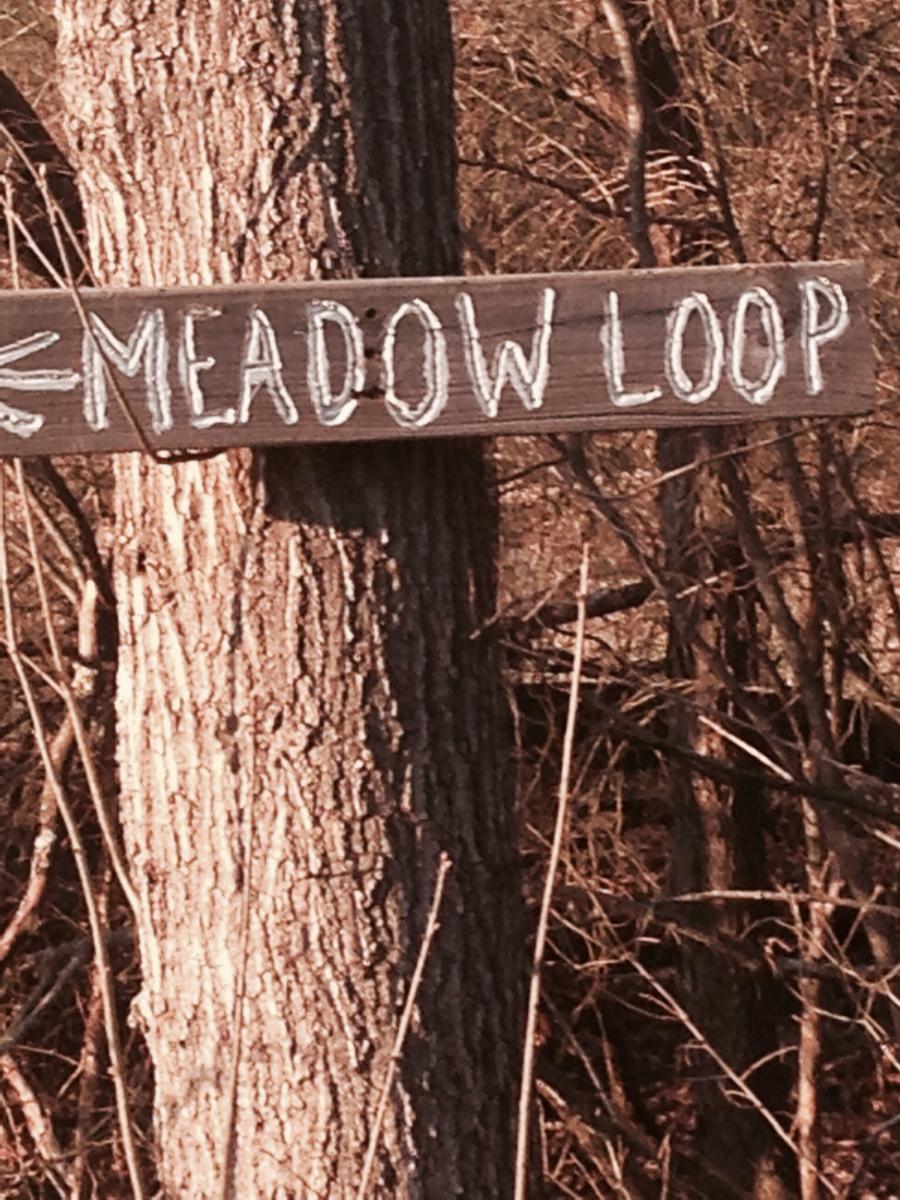 Wooden sign reading "Meadow Loop" with an arrow pointing left, attached to the trunk of a tree, surrounded by branches and natural scenery. Spadra Creek Nature Trail mountain bike trail.