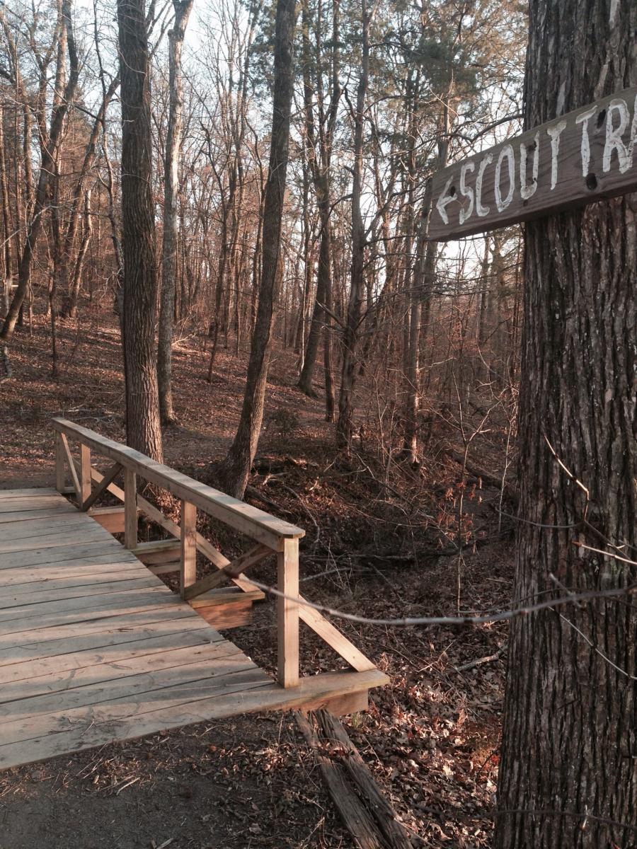 A wooden bridge crossing a small creek in a forested area, with a sign pointing to "Scout Trail" on a nearby tree. The scene features bare trees in early spring, with leaves scattered on the ground. Spadra Creek Nature Trail mountain bike trail.