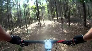 "View from a mountain bike handlebar as it navigates a dirt trail through a forest, surrounded by tall trees and dappled sunlight." Spadra Creek Nature Trail mountain bike trail.