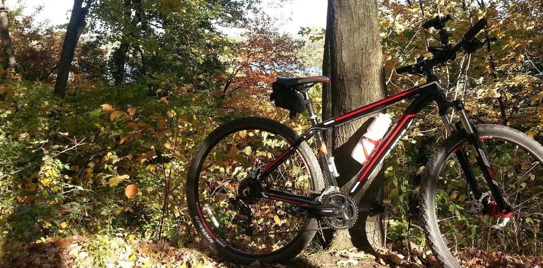 Trek Marlin: A black and red mountain bike leaning against a tree in a forest setting, surrounded by colorful autumn foliage and a glimpse of water in the background.