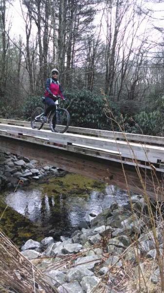 A mountain biker wearing a helmet and colorful jacket navigates a wooden bridge over a small stream, surrounded by trees and foliage. Panthertown Valley mountain bike trail.