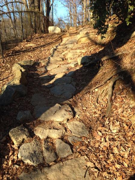 A rugged stone pathway winding up a hillside, surrounded by fallen leaves and tree roots, with sunlight filtering through the trees above. Northbank Trail mountain bike trail.
