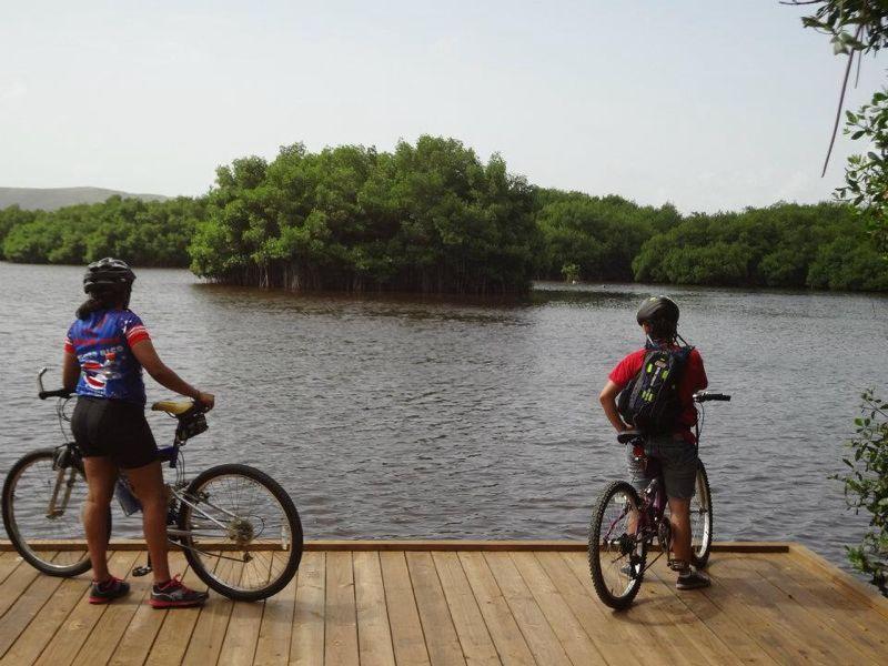 Two cyclists, one wearing a blue jersey and the other in a red shirt, stand on a wooden deck overlooking a body of water surrounded by lush mangrove vegetation. The scene captures a peaceful moment in nature. Boqueron Wildlife Natural Refuge mountain bike trail.