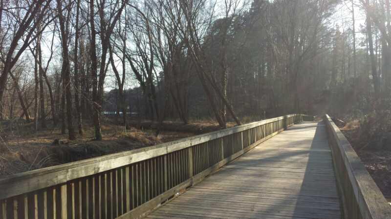 A wooden boardwalk winding through a tranquil forest, surrounded by bare trees and dappled sunlight filtering through the branches. The scene captures a serene, natural environment, inviting relaxation and exploration. Lake Johnson mountain bike trail.