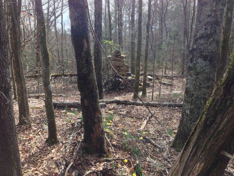 Alt text: A forest scene featuring tall trees with bare branches, fallen logs, and scattered leaves on the ground. In the background, a stone structure partially obscured by trees and underbrush is visible, suggesting an abandoned or historical site. Clinton Nature Preserve mountain bike trail.