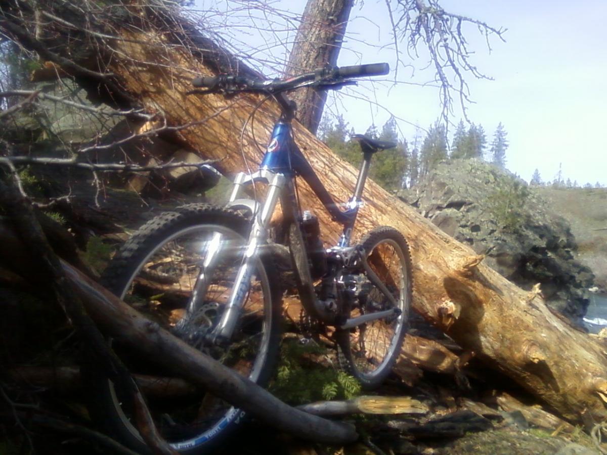 Giant Trance: A mountain bike leaning against a fallen tree in a natural outdoor setting, with rocky terrain and evergreen trees in the background. The bike features a blue frame and silver components.