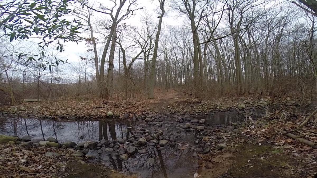 A serene landscape featuring a small creek surrounded by bare trees in a wooded area. The ground is covered with fallen leaves and rocks, and a dirt path leads into the background, creating a tranquil outdoor scene under a cloudy sky. Wolfes Pond park mountain bike trail.