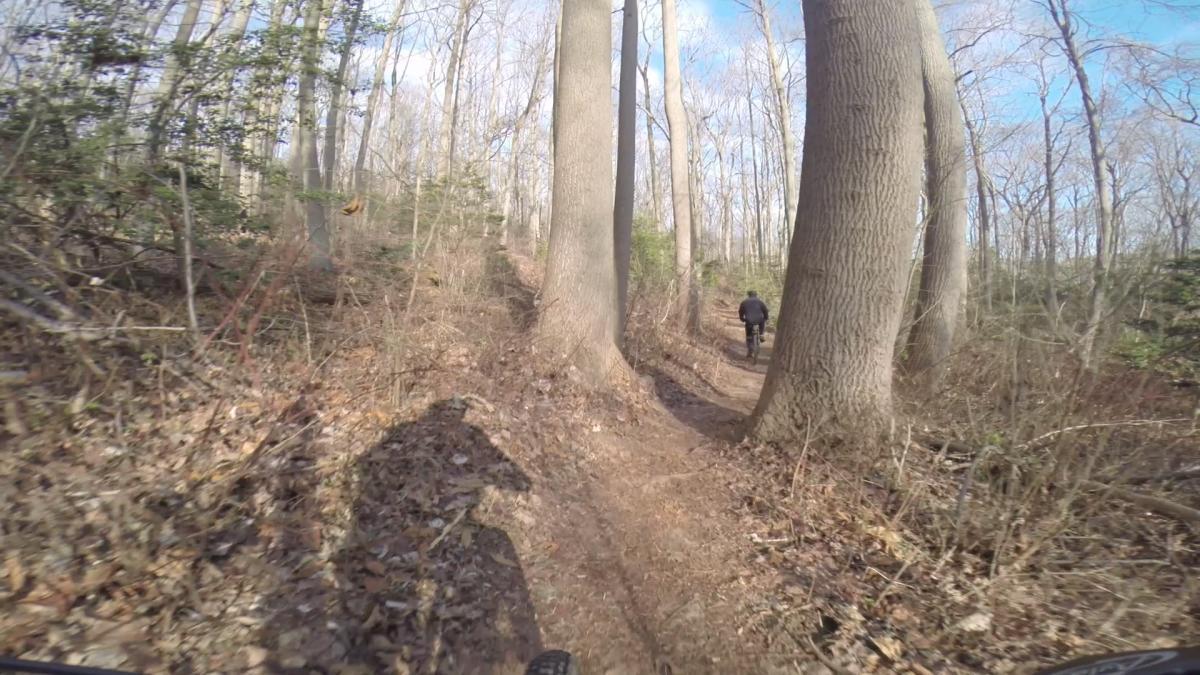 A winding dirt trail through a deciduous forest with large trees, where a person rides a bicycle in the distance. The ground is covered with fallen leaves, and the sky is partly cloudy. The scene captures the essence of outdoor adventure and natural scenery. Hartshorne Woods Park mountain bike trail.