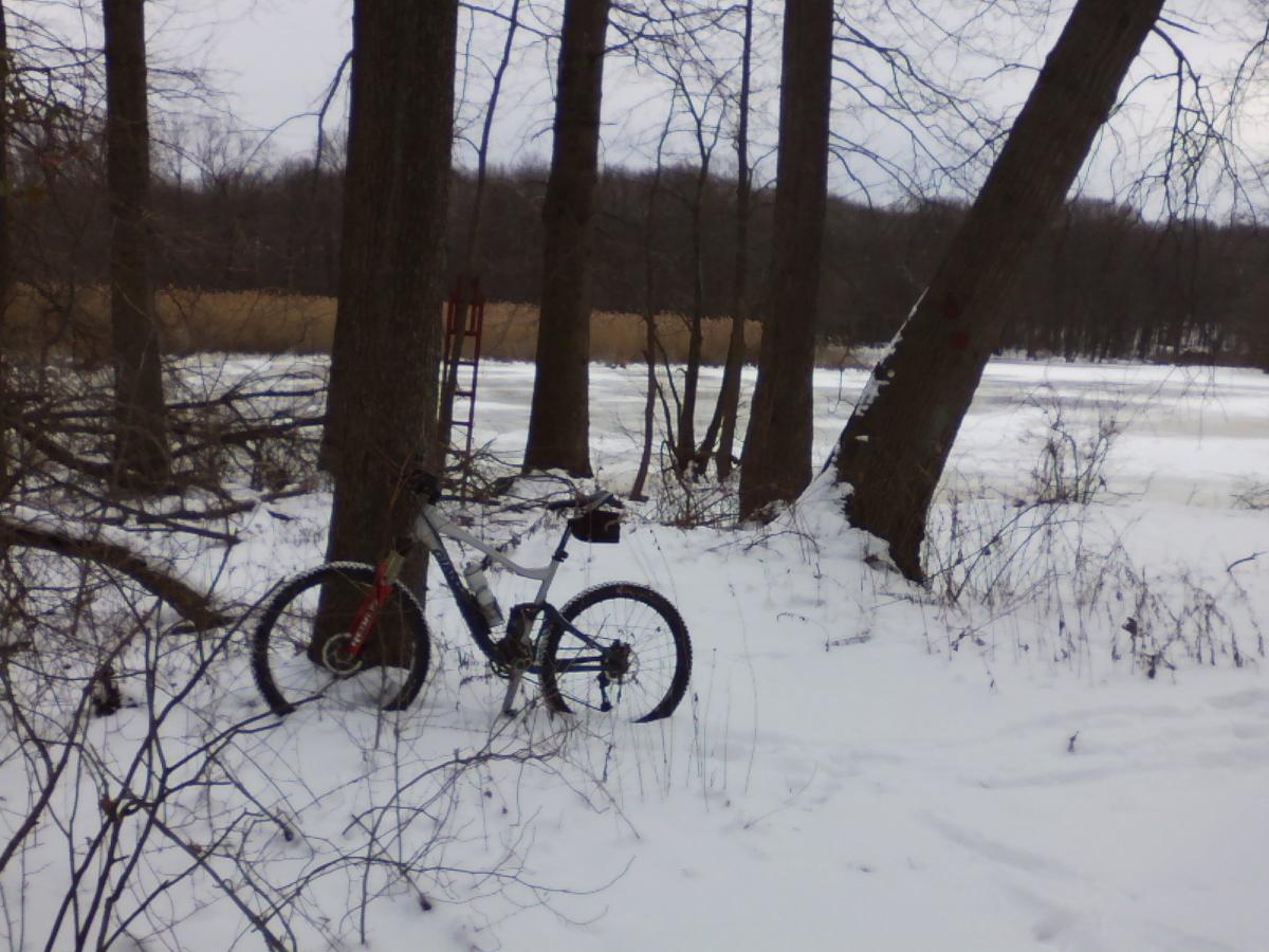 A mountain bike leaning against a tree in a snowy landscape, with a frozen lake and tall grasses in the background. The scene features bare trees and a cloudy sky, conveying a serene winter atmosphere. Wolfes Pond park mountain bike trail.