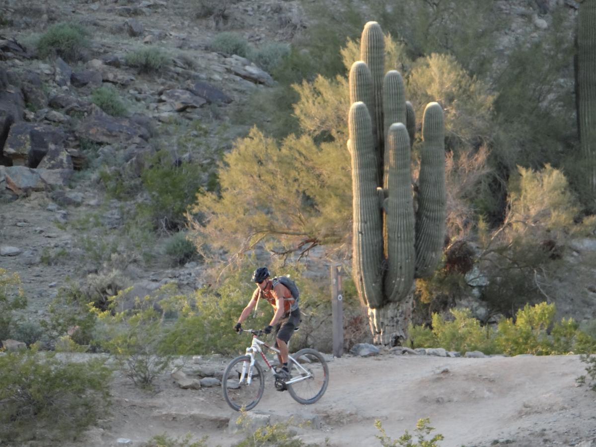 Cactus Adventures Bike Shop in Phoenix Arizona