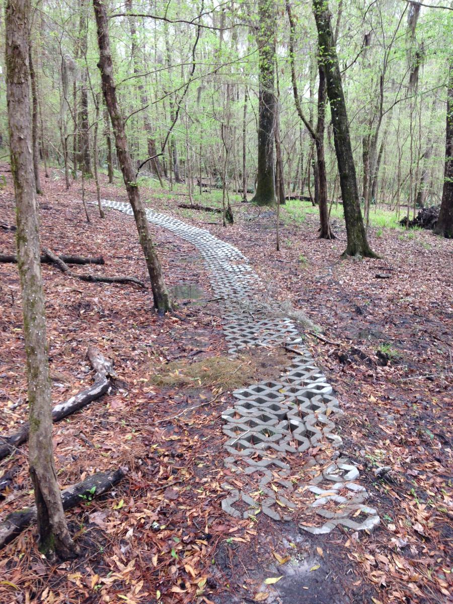 A winding pathway made of interlocking pavers runs through a wooded area, surrounded by trees and scattered fallen leaves. The greenery suggests a spring setting, with budding leaves on the trees. The ground is damp, indicating recent moisture. San Felasco Hammock Preserve mountain bike trail.