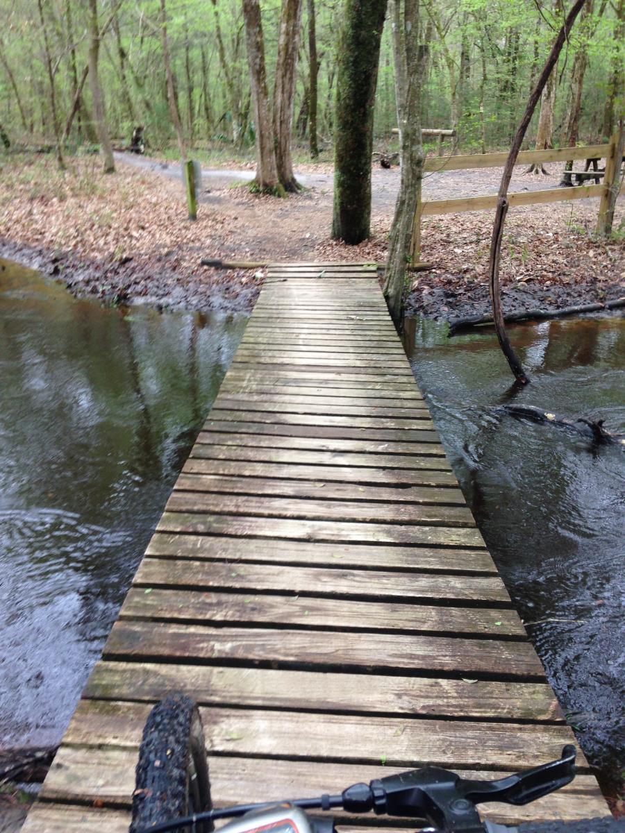 A wooden bridge extending over a small creek surrounded by lush greenery in a wooded area. The path diverges in the background, indicating outdoor recreational trails. A bike is partially visible in the foreground, resting on the bridge. San Felasco Hammock Preserve mountain bike trail.