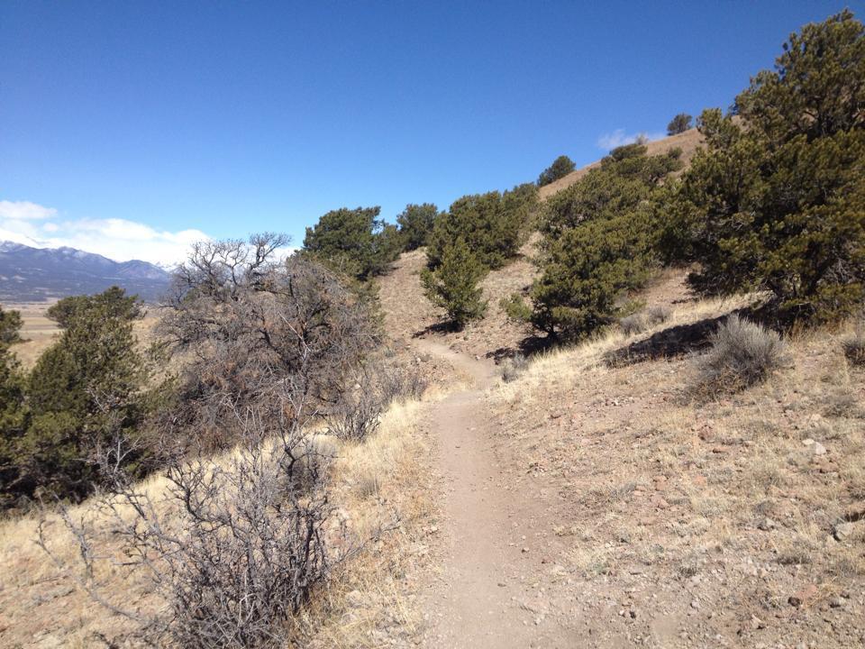 A dirt trail winding through a dry landscape, flanked by shrubs and small trees, with rolling hills and distant mountains under a clear blue sky. North Backbone mountain bike trail.