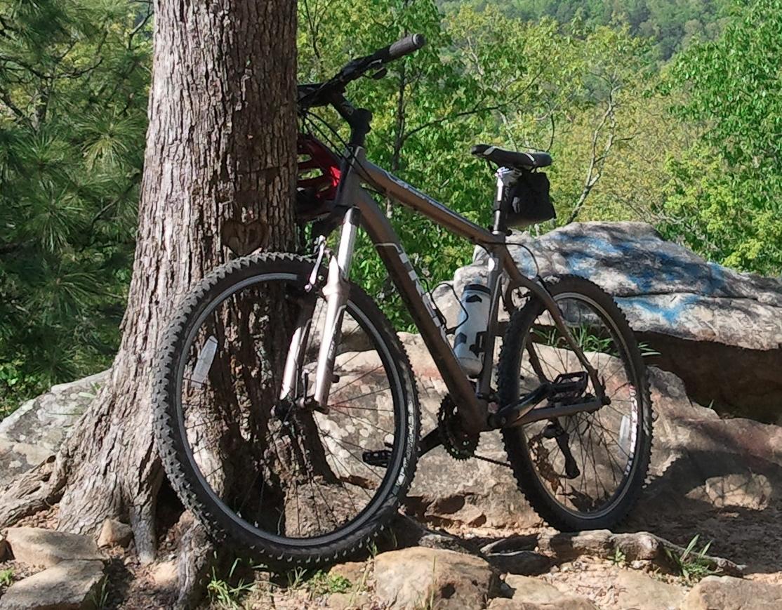 A mountain bike leaning against a tree, surrounded by rocks and greenery, with a scenic view of trees in the background.