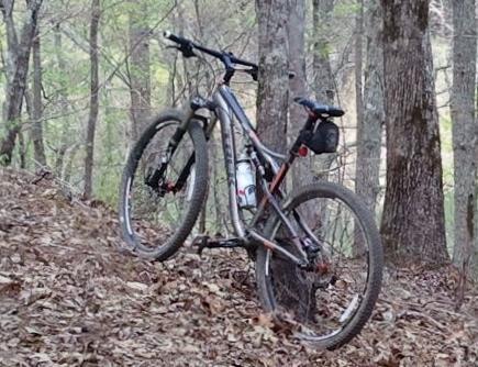 A mountain bike leaning against a tree on a leaf-covered forest trail, surrounded by greenery.