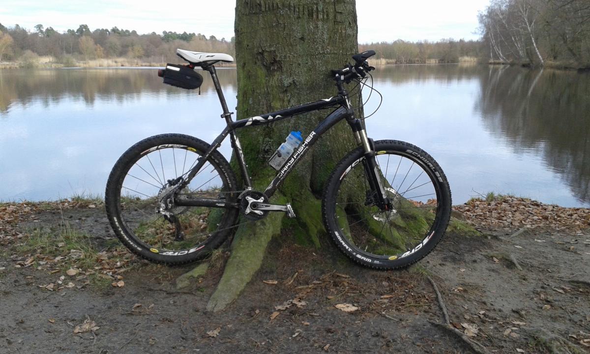 Gary Fisher Marlin: A mountain bike leaning against a tree near a calm lake surrounded by autumn foliage. The bike features thick tires and a water bottle attached, with a peaceful landscape in the background.