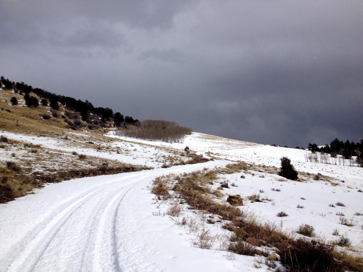 A snowy trail winding through a hilly landscape under a cloudy sky, with patches of grass and sparse trees dotting the snowy terrain. Road #182 mountain bike trail.