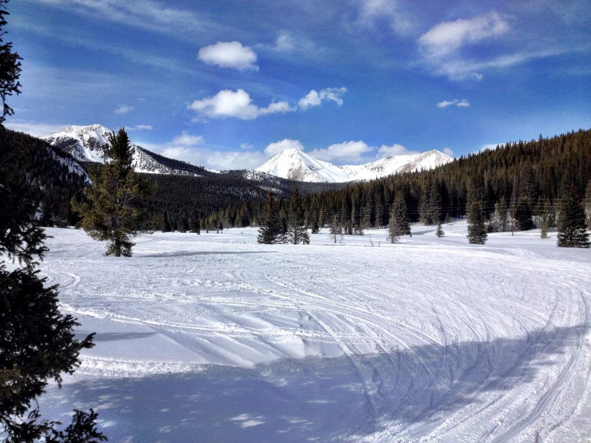 A scenic winter landscape featuring snow-covered hills and mountains under a blue sky with fluffy clouds. Pine trees are scattered throughout the foreground and background, creating a serene, picturesque atmosphere. Snowmobile trails are visible in the foreground, indicating recreational activities in the snowy terrain. Monarch Park mountain bike trail.