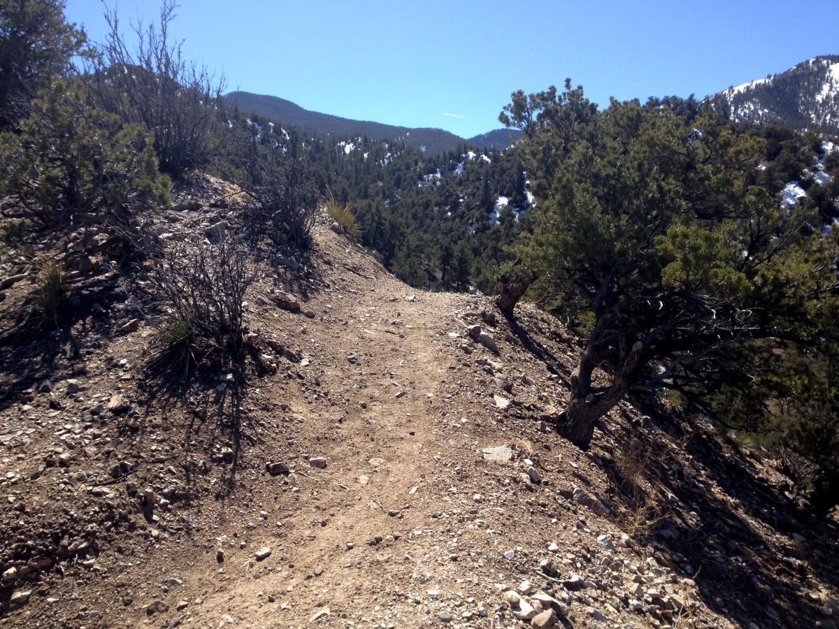 A narrow dirt path winding through a rocky landscape, bordered by small bushes and trees, with mountains in the background under a clear blue sky. Double Rainbow mountain bike trail.