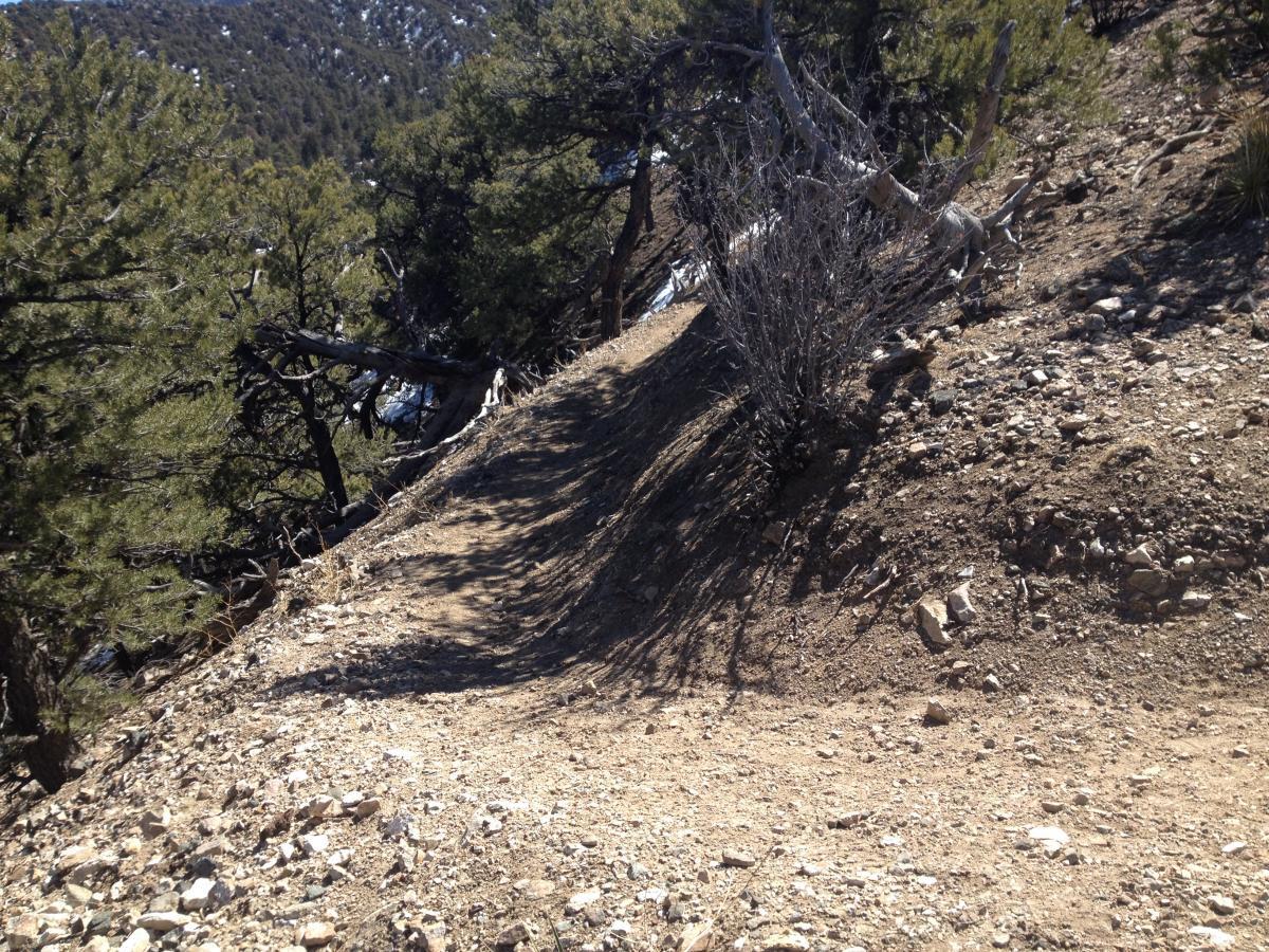 A narrow dirt trail winding through a rocky slope, surrounded by dense foliage and trees. The path is partially shaded, with scattered stones and a mixture of dry grass and soil visible. In the background, a mountainous landscape can be seen, hinting at higher elevations and possibly snow in the distant areas. Double Rainbow mountain bike trail.