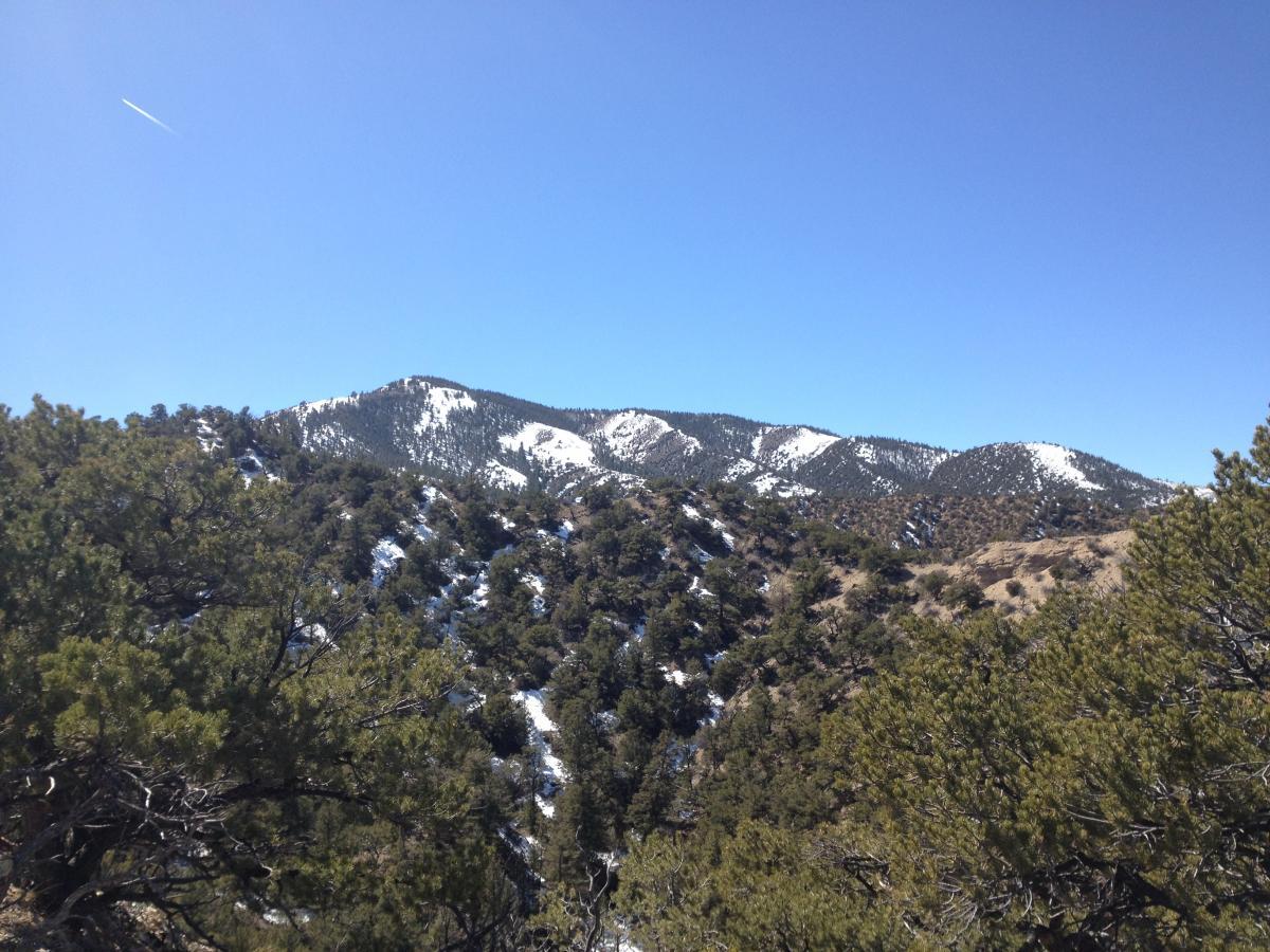 A scenic view of rugged mountains under a clear blue sky, with patches of snow on the peaks and dense green vegetation in the foreground. Double Rainbow mountain bike trail.