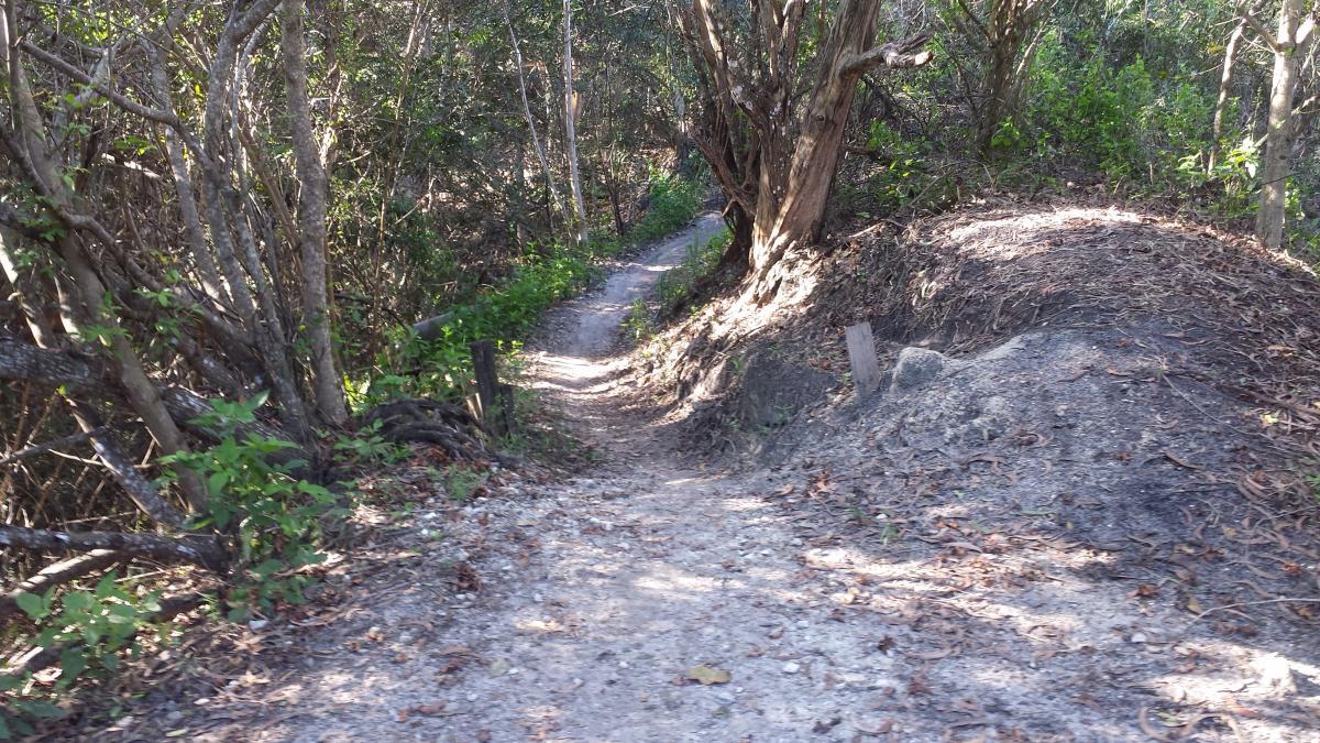 A narrow, winding dirt path surrounded by dense green foliage and trees. The trail is slightly uneven with patches of loose soil and fallen leaves, leading through a tranquil natural environment. Markham Park mountain bike trail.